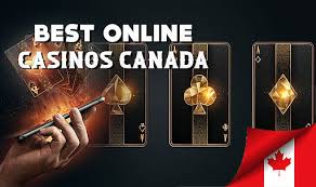 Comprehensive List of Online Casinos in Canada -303588542